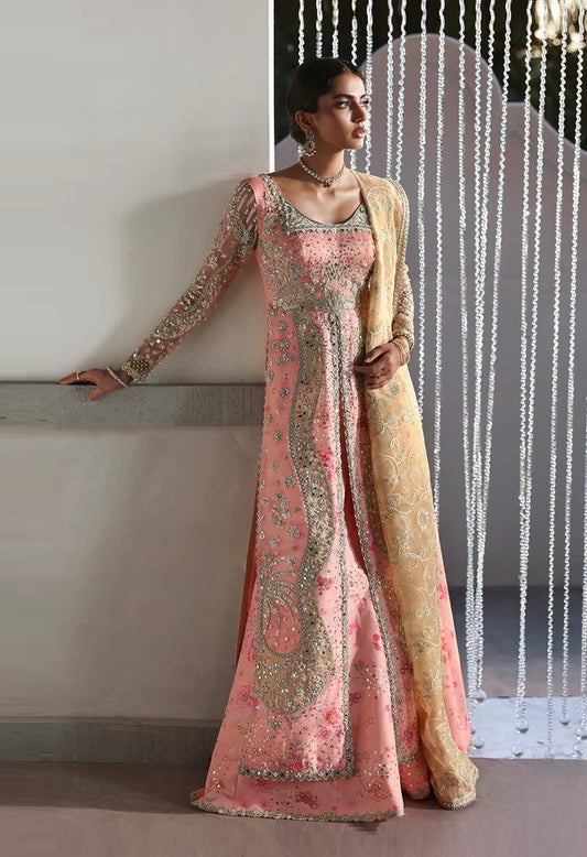 Soraya Lumene Luxury Organza Embroidered Unstitched 3PC Suit-Velora