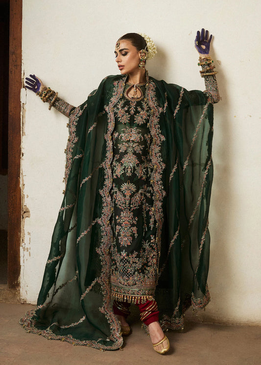 Hussain Rehar Luxury Organza Embroidered Collection Unstitched JAMALI