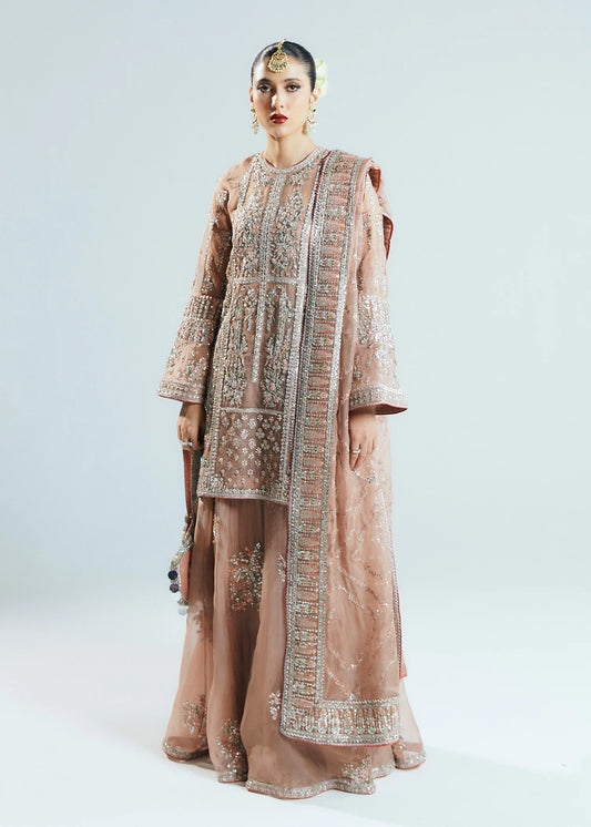 Hussain Rehar Luxury Pure Organza Hand Emblishment Suit DUNE