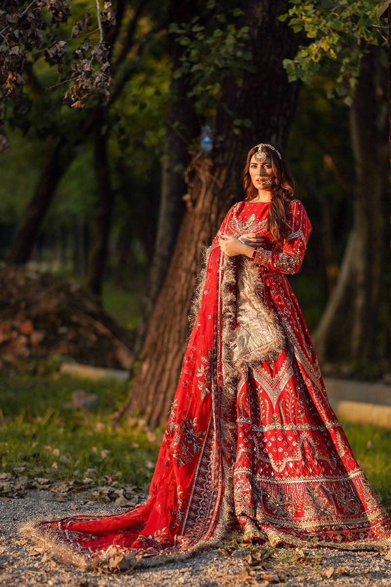 Zarlish by Mohsin Naveed Ranjha Embroidered Net Suits Unstitched 3 Piece MNR SHEEMA  Festive Collection