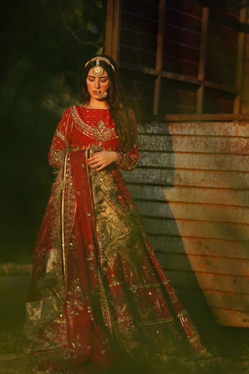 Zarlish by Mohsin Naveed Ranjha Embroidered Net Suits Unstitched 3 Piece MNR SHEEMA  Festive Collection