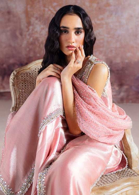 SRA Luxury Weddind Festive Organza Embroidered Unstitched Collection AYDA