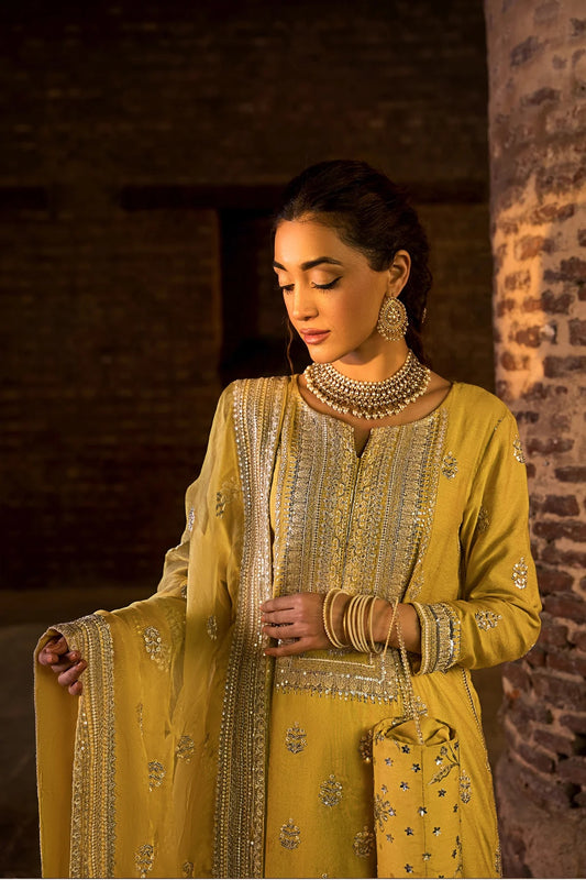 Erum Khan - Dil Araa - Luxury Raw Silk Embroidered Unstitched 3 Piece