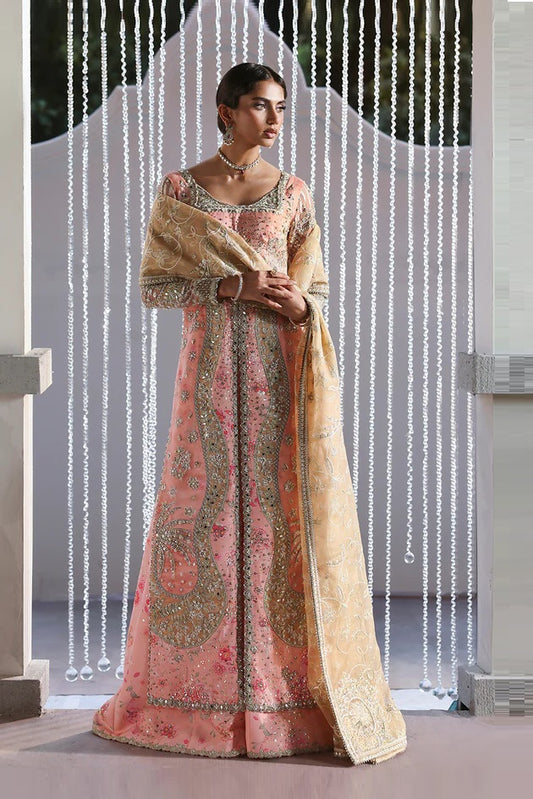 Soraya Lumene Luxury Organza Embroidered Unstitched 3PC Suit-Velora
