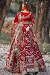 Zarlish by Mohsin Naveed Ranjha Embroidered Net Suits Unstitched 3 Piece MNR SHEEMA  Festive Collection