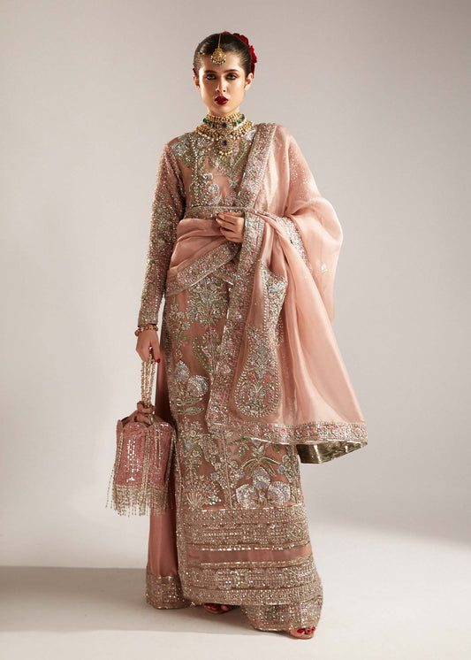 Hussain Rehar Parday ke Peechay 3 Pieces Organza Embroidered Verve