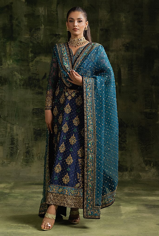 Sara Naqvi Wedding Festive Organza Hand Emblishment Collection Shahbano