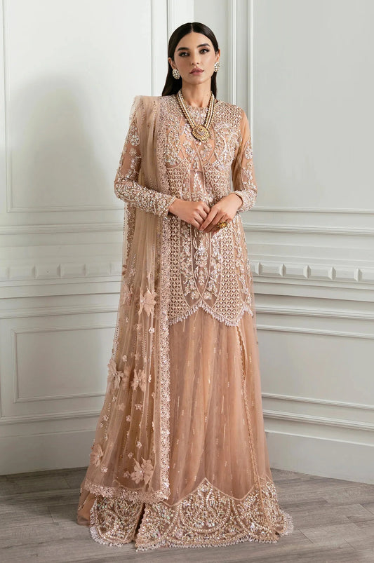 Crimson X Saira Shakira Star Dust - Net Embroidered 3 Piece Unstitched