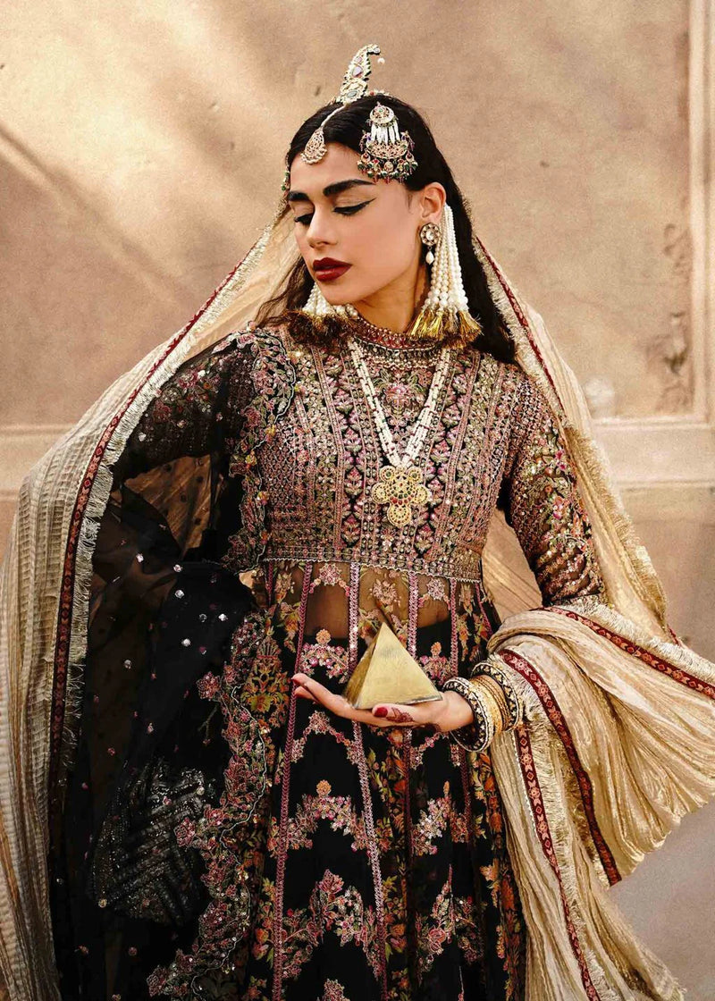 Zaib-un-Nisa by Hussain Rehar Embroidered Organza Suits Unstitched Kajal