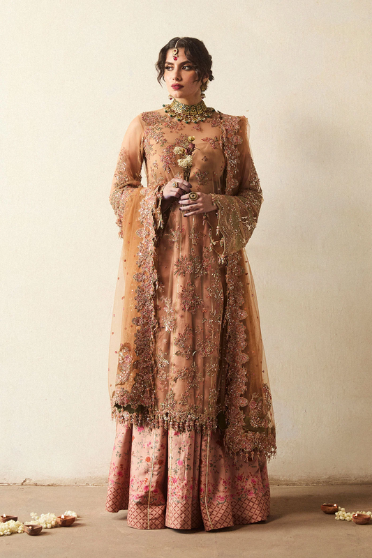 Hussain Rehar Luxury Pure Organza Hand Embroidered Collection RAITLA