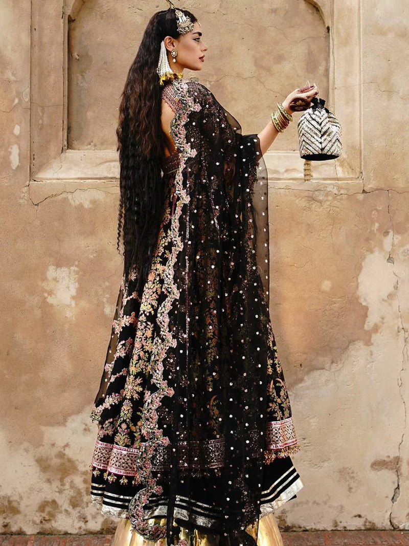 Zaib-un-Nisa by Hussain Rehar Embroidered Organza Suits Unstitched Kajal