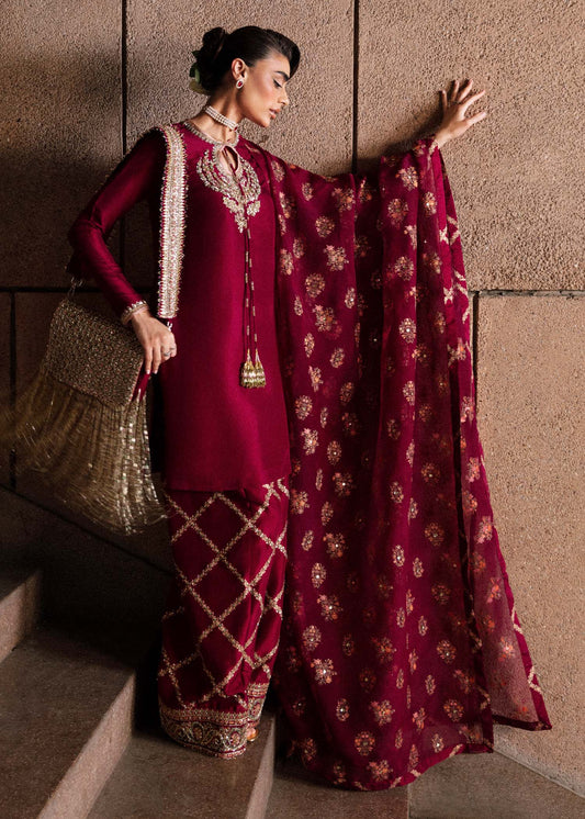 Hussain Rehar Wedding Festive Organza HAnd Emblishment Collection Merlot